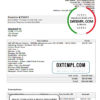 editable template, India Online Server company invoice template in Word and PDF format, fully editable