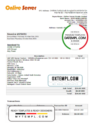 India Online Server company invoice template in Word and PDF format, fully editable