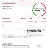 editable template, # bliss natural universal multipurpose invoice template in Word and PDF format, fully editable
