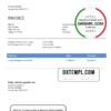 editable template, USA Steve's Trucking Company invoice template in Word and PDF format, fully editable