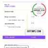 editable template, USA Austen Tech Company invoice template in Word and PDF format, fully editable
