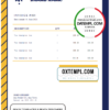 editable template, # time solution universal multipurpose invoice template in Word and PDF format, fully editable