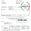 editable template, USA American Disposal invoice template in Word and PDF format, fully editable