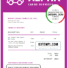 editable template, USA Alpha Cargo Services invoice template in Word and PDF format, fully editable