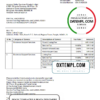 editable template, India Amazon American multinational technology company invoice template in Word and PDF format, fully editable