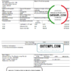 editable template, Australia Commercial Invoice company invoice template in Word and PDF format, fully editable