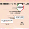 editable template, USA Art Certificate template in Word and PDF format