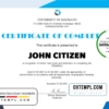editable template, USA HR internship certificate template in Word and PDF format