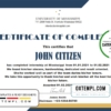 editable template, USA Internship certificate template in Word and PDF format
