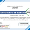 editable template, USA Job Experience certificate template in Word and PDF format, version 2