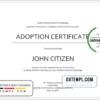 editable template, USA Adoption Certificate template in Word and PDF format