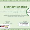 editable template, USA Origin Certificate template in Word and PDF format