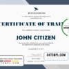editable template, USA Company Training Certificate template in Word and PDF format