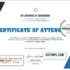 editable template, USA NCV Institute of Technology Event Certificate template in Word and PDF format