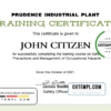 editable template, USA Training certificate template in Word and PDF format, version 2