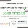 editable template, USA Softball certificate template in Word and PDF format