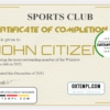 editable template, USA Recognition certificate template in Word and PDF format, version 3