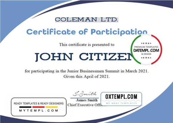 editable template, USA Program Participation certificate template in Word and PDF format