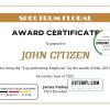 editable template, USA Award Certificate template in Word and PDF format
