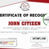 editable template, USA Recognition Certificate template in Word and PDF format, version 2
