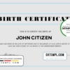 editable template, USA Birth Certificate template in Word and PDF format