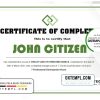 editable template, USA Experience Certificate template in Word and PDF format