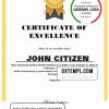 editable template, USA Excellence Certificate template in Word and PDF format