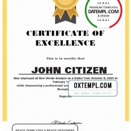 editable template, USA Excellence Certificate template in Word and PDF format
