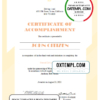 editable template, USA Driving Certificate template in Word and PDF format