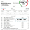 editable template, USA Bank of America bank statement template in Excel and PDF format, version 5
