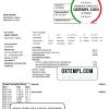 editable template, Palestine Electric Company (PEC) utility bill template in Word and PDF format