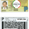 Bolivia driver license PSD template