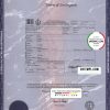 editable template, USA Massachusetts state birth certificate template in PSD format, fully editable