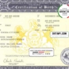 editable template, USA Pennsylvania state birth certificate template in PSD format, fully editable