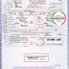editable template, USA Tennessee state birth certificate template in PSD format, fully editable