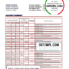 editable template, Japan Rakuten bank statement template in Word and PDF format