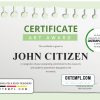 editable template, USA Art Award Certificate template in Word and PDF format