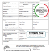 editable template, Australia Queensland marriage certificate template in Word format