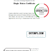 editable template, Australia Queensland divorce certificate template in Word format
