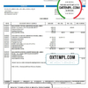 editable template, USA Sentara Pratt Medical Group billing statement template in Word and PDF format