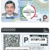 Bolivia driver license PSD template (2017 - present)