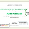 editable template, USA Modern Participation certificate template in Word and PDF format