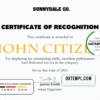 editable template, USA Recognition in Performance certificate template in Word and PDF format