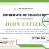 editable template, USA Completion certificate template in Word and PDF format, version 2