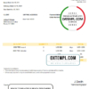 editable template, USA FF Car Rental Services invoice template in Word and PDF format, fully editable