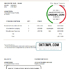 editable template, USA Fly Away Travels invoice template in Word and PDF format, fully editable