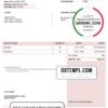 editable template, USA Hitech Inc. invoice template in Word and PDF format, fully editable