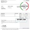editable template, USA John Rental Services invoice template in Word and PDF format, fully editable
