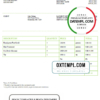 editable template, USA Louis Salon and Spa invoice template in Word and PDF format, fully editable