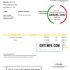 editable template, USA Mathew Autostation invoice template in Word and PDF format, fully editable